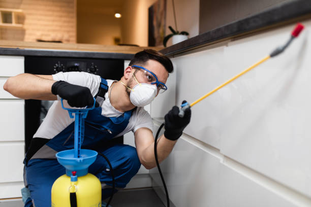 Best Pest Prevention Services  in Hampton, MD