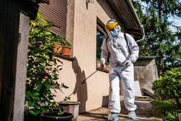 Best Spider Control Near Me  in Hampton, MD
