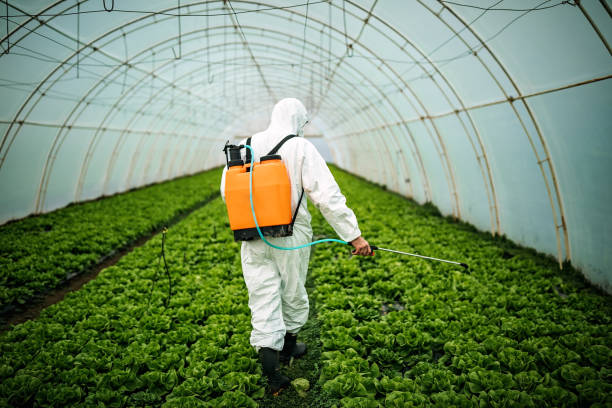 Best Local Pest Control Services  in Hampton, MD