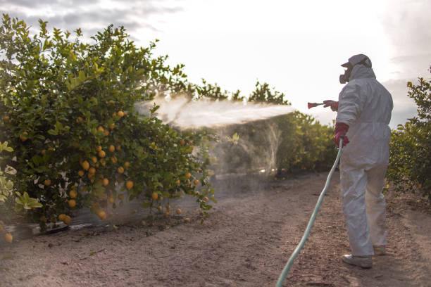 Best Best Pest Control Companies  in Hampton, MD