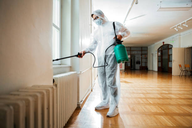 Best Pest Inspection Near Me  in Hampton, MD