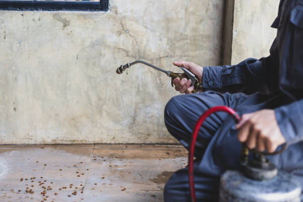Best Mosquito Control Services  in Hampton, MD