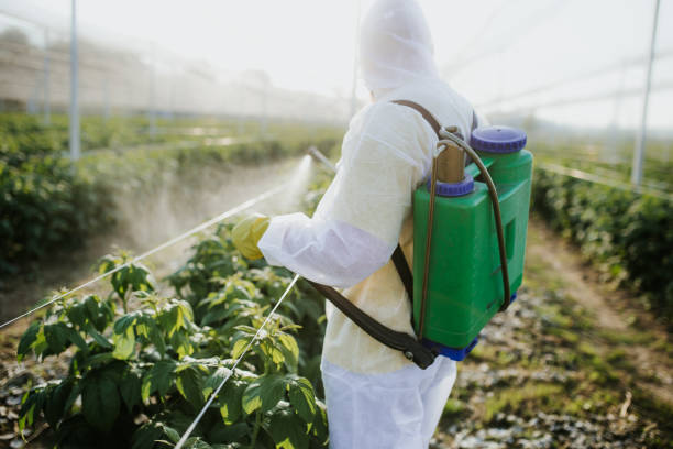 Best Commercial Pest Control Services  in Hampton, MD